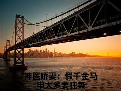 抖音高赞小说谢北宸林时安在线阅读神医娇妻：假千金马甲太多要独美新上现代言情小说推荐
