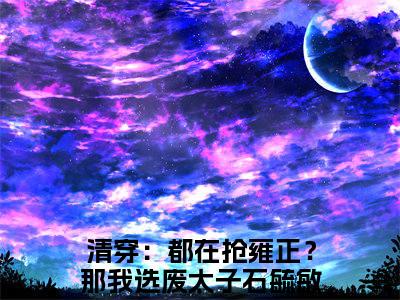 清穿：都在抢雍正？那我选废太子石毓敏小说（清穿：都在抢雍正？那我选废太子石毓敏）完整版大结局-清穿：都在抢雍正？那我选废太子石毓敏小说免费阅读