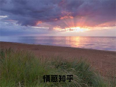 情惑精选热门小说傅砚礼楚妧已完结全集大结局