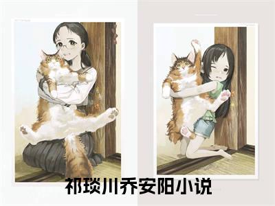 祁琰川乔安阳免费小说，祁琰川乔安阳全文免费阅读无弹窗大结局