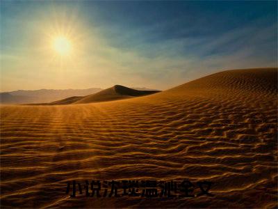 沈琰温沁（昨夜星辰昨夜风）全文免费阅读无弹窗大结局_沈琰温沁_笔趣阁