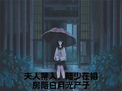 夫人禁入，陆少在婚房陪白月光产子（乔茵陆一函）小说免费阅读_夫人禁入，陆少在婚房陪白月光产子精选小说全文阅读（乔茵陆一函）