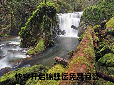 快穿开启锦鲤运（宁月）全文免费阅读无弹窗大结局_宁月最新章节列表