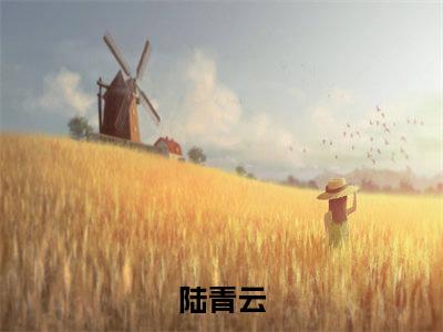陆青云全文免费阅读无弹窗大结局，赶我出家门，怎么又下跪求我回来？小说最新章节