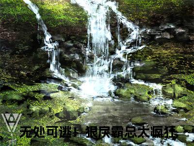 无处可逃！狠戾霸总太疯狂小说（泽安德安格全文完整版免费阅读）_无处可逃！狠戾霸总太疯狂小说免费最新章节列表_笔趣阁