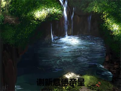 谢新意傅帝呈全集完整版大结局-谢新意傅帝呈小说在线赏析