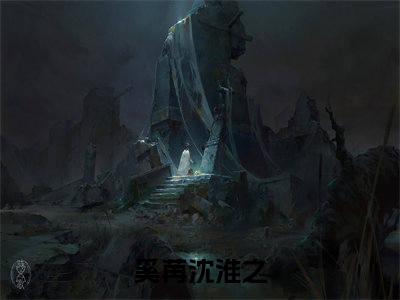 奚苒沈淮之（奚苒沈淮之）是什么小说-奚苒沈淮之小说全文阅读