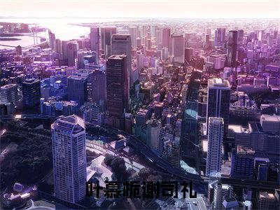 留不住雁阵南渡（叶慕栀谢司礼）高质量小说免费阅读_留不住雁阵南渡最新章节列表_笔趣阁