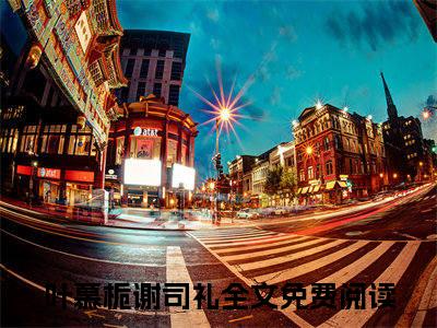 留不住雁阵南渡免费阅读（叶慕栀谢司礼）完整版全文全章节阅读