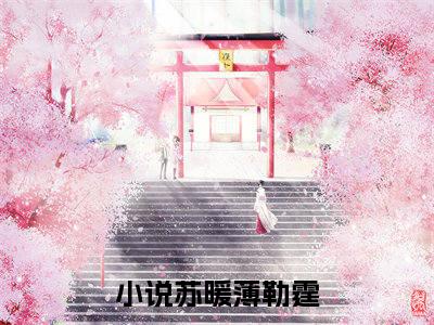 苏暖薄勒霆无删减（苏暖薄勒霆）全文免费阅读无弹窗大结局_苏暖薄勒霆最新章节列表（苏暖薄勒霆）