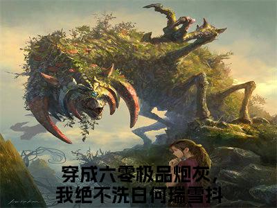 穿成六零极品炮灰，我绝不洗白何瑞雪小说（穿成六零极品炮灰，我绝不洗白何瑞雪）全文免费阅读_穿成六零极品炮灰，我绝不洗白何瑞雪小说精彩在线赏析