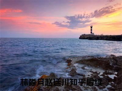 林淼月赵廷川小说（又见山海）全文免费阅读大结局无删减_（又见山海）林淼月赵廷川小说最新章节列表_笔趣阁