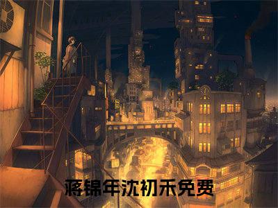 蒋锦年沈初禾全文免费阅读无弹窗_（蒋锦年沈初禾）全文在线阅读大结局