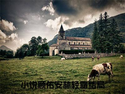 精选好书（顾佑安林轻霜），顾佑安林轻霜全文无删减版在线阅读