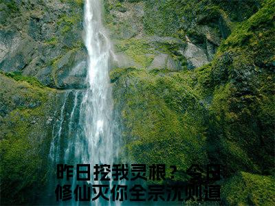 昨日挖我灵根？今日修仙灭你全宗沈则道（昨日挖我灵根？今日修仙灭你全宗沈则道）热门小说盘点在线阅读-昨日挖我灵根？今日修仙灭你全宗沈则道小说无弹窗