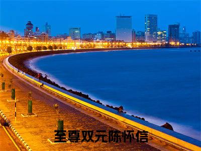 至尊双元陈怀信全文阅读 至尊双元陈怀信小说最新章节