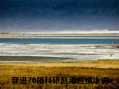 穿进70搞科研赵清（穿进70搞科研赵清小说）全文免费阅读无弹窗大结局_穿进70搞科研赵清小说免费阅读-笔趣阁