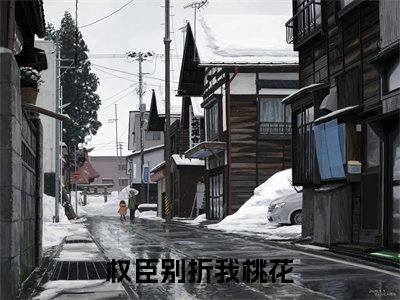 谢辞景沈珺小说大结局完整版阅读，权臣别折我桃花小说全文在线阅读