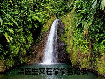 宋佳曦梁欢（梁医生又在偷偷套路我）小说全文免费阅读-宋佳曦梁欢（梁医生又在偷偷套路我）小说免费版最新更新阅读