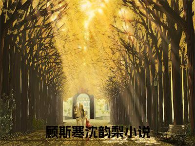 顾斯寒沈韵梨是什么小说 顾斯寒沈韵梨全本免费阅读