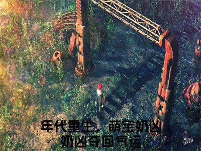 年代重生，萌宝奶凶奶凶夺回气运小说主角是（毕木芽）全文完整版免费阅读最新章节列表_毕木芽小说在线阅读