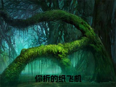 江昱浅邵宁结局_（你折的纸飞机）江昱浅邵宁最新章节列表_笔趣阁