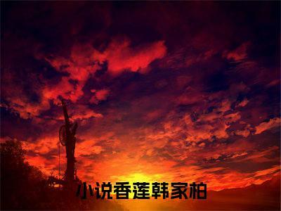 丢了男人的女人（香莲韩家柏）全集免费阅读无弹窗_丢了男人的女人正版小说免费阅读