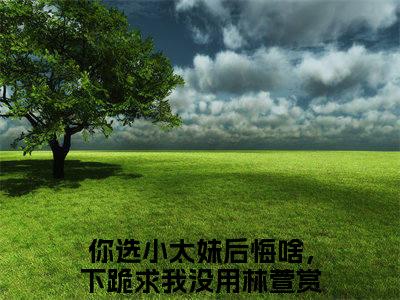 你选小太妹后悔啥，下跪求我没用林萱（你选小太妹后悔啥，下跪求我没用林萱）高质量小说推荐阅读-最新小说你选小太妹后悔啥，下跪求我没用林萱全文阅读