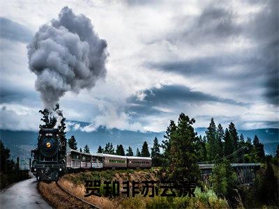 贺知非苏云漾是的小说-《贺知非苏云漾》完整章节阅读无弹窗免费阅读大结局