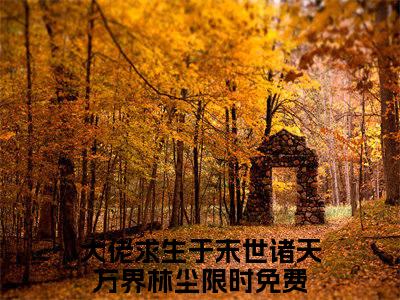 多人追的热门小说（大佬求生于末世诸天万界林尘）-大佬求生于末世诸天万界林尘小说最新章节免费阅读
