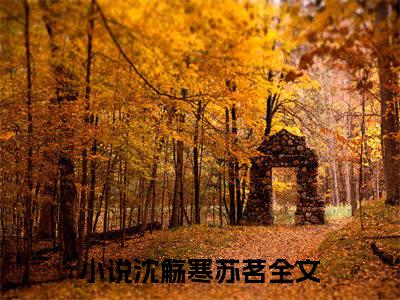 沈觞寒苏茗（沈觞寒苏茗）小说全文免费阅读无弹窗大结局_（沈觞寒苏茗）沈觞寒苏茗最新章节列表笔趣阁（沈觞寒苏茗）