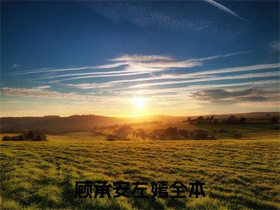 顾承安左嫣精选好书-顾承安左嫣无删减小说在线阅读（顾承安左嫣全文免费阅读）
