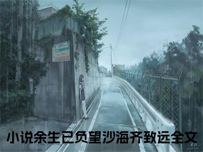 余生已负望沙海齐致远小说全文免费阅读_余生已负望沙海齐致远（余生已负望沙海齐致远）最新章节列表在线阅读
