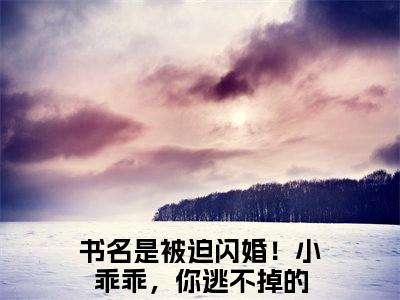 被迫闪婚！小乖乖，你逃不掉的全文免费阅读_被迫闪婚！小乖乖，你逃不掉的（盛夏墨寒霆免费阅读无弹窗）盛夏墨寒霆最新章节列表笔趣阁