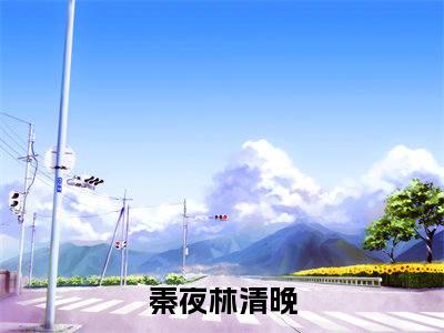 夜晚，肆意撩拨全文免费阅读大结局_夜晚，肆意撩拨全文免费阅读无弹窗_笔趣阁（秦夜林清晚）