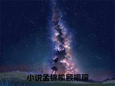 孟锦榆顾翊琛无删版小说阅读-孟锦榆顾翊琛全文无弹窗试读
