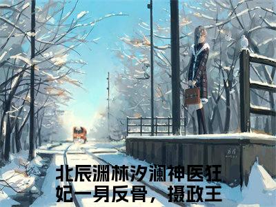 神医狂妃一身反骨，摄政王哄诱无度小说全文-神医狂妃一身反骨，摄政王哄诱无度（北辰渊林汐澜）最新章节免费阅读