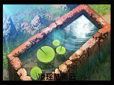 凌瑶陆青云小说全文免费阅读 凌瑶陆青云最新章节