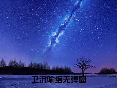 卫沉喻绾(卫沉喻绾)全文免费阅读无弹窗大结局_（卫沉喻绾）的小说最新章节列表