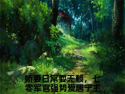 娇妻日常耍无赖，七零军官强势爱唐宁（娇妻日常耍无赖，七零军官强势爱唐宁）全文免费阅读无弹窗大结局