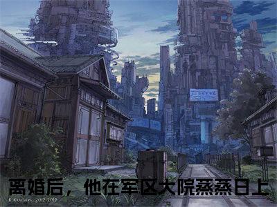 宋景渊周芸菁离婚后，他在军区大院蒸蒸日上小说全文免费阅读无弹窗大结局_（离婚后，他在军区大院蒸蒸日上）最新章节列表笔趣阁