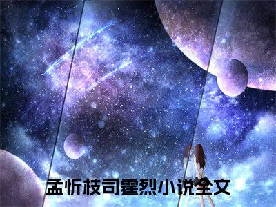 雨过天晴皆是光全文免费阅读大结局孟忻枝司霆烈最新章节列表