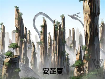 安芷夏（穿越七零：海岛随军生崽崽）免费全文阅读小说_（安芷夏）穿越七零：海岛随军生崽崽最新章节列表