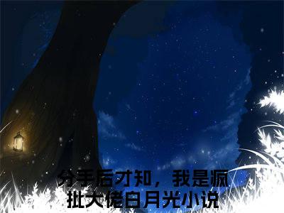 分手后才知，我是疯批大佬白月光（沈清禾贺景麟）免费阅读无弹窗大结局_分手后才知，我是疯批大佬白月光小说（沈清禾贺景麟）免费阅读最新章节列表