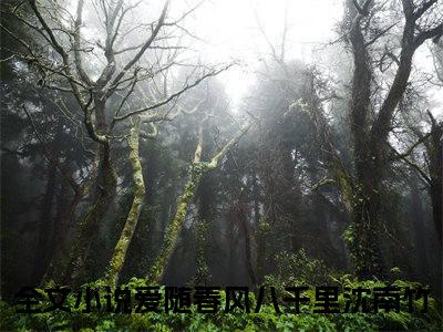 爱随春风八千里沈南竹全文免费阅读_（爱随春风八千里沈南竹小说）爱随春风八千里沈南竹言情小说在线阅读笔趣阁