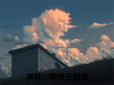 裴总，太太科室男患者又爆满了！小说（裴锦川顾眠）全文免费阅读_裴总，太太科室男患者又爆满了！小说（裴锦川顾眠）最新章节列表笔趣阁小说
