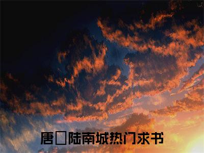 唐玥陆南城免费阅读无弹窗 唐玥陆南城最新章节