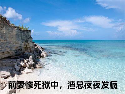 沈青禾路闻舟（前妻惨死狱中，渣总夜夜发疯）全文免费阅读无弹窗大结局_前妻惨死狱中，渣总夜夜发疯全文在线阅读