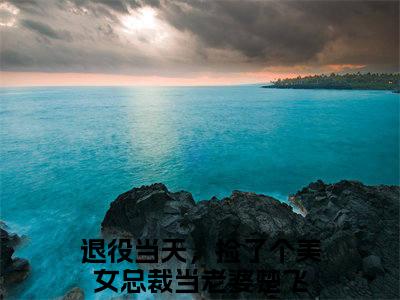 退役当天，捡了个美女总裁当老婆楚飞（退役当天，捡了个美女总裁当老婆楚飞）美文赏析完整版-退役当天，捡了个美女总裁当老婆楚飞好看的小说阅读