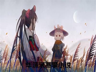 全网热搜（华沫宋寒擎）是什么小说，华沫宋寒擎免费阅读无弹窗
